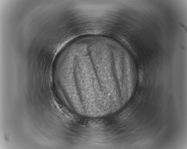 X0000100400532200806201738