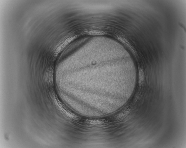 X0000100400533200806201738
