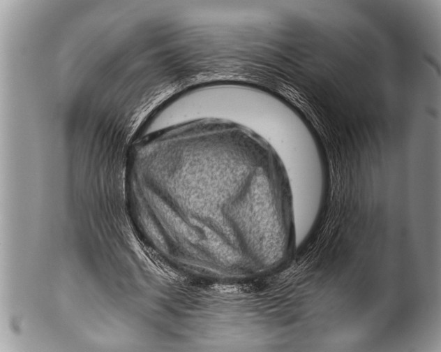 X0000100400534200806201738