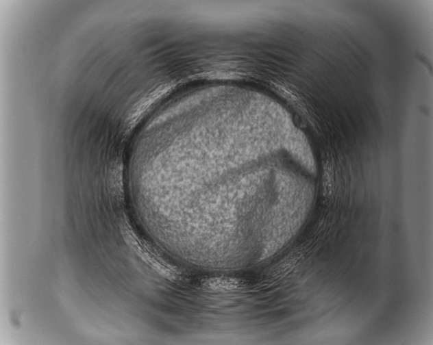 X0000100400535200806201738