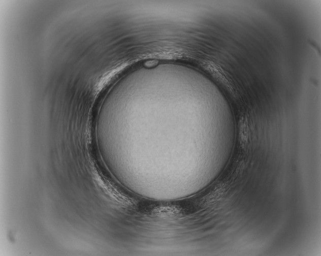 X0000100400536200806201738
