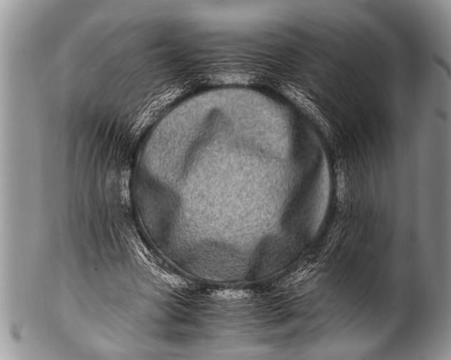 X0000100400537200806201738