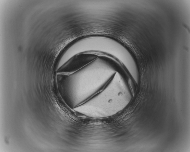 X0000100400540200806201738