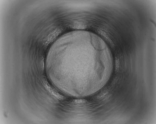 X0000100400541200806201738