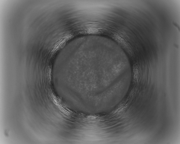 X0000100400542200806201738