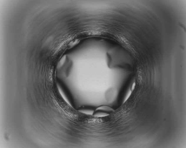 X0000100400543200806201738