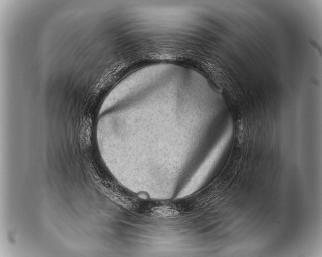 X0000100400544200806201738