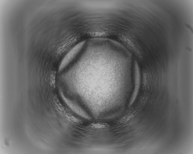 X0000100400545200806201738