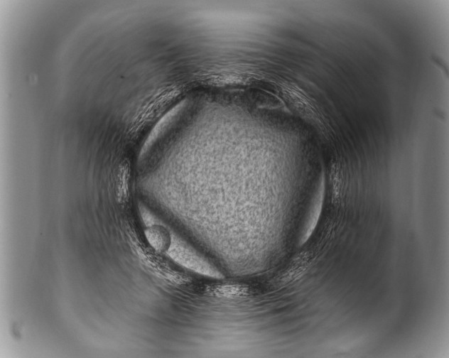 X0000100400546200806201738