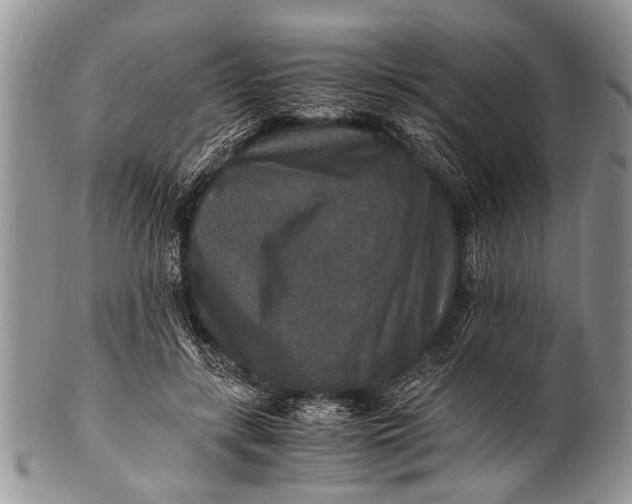 X0000100400547200806201738