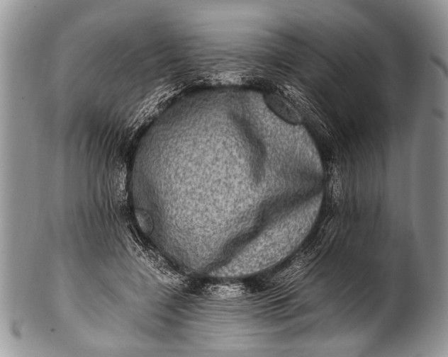 X0000100400548200806201738