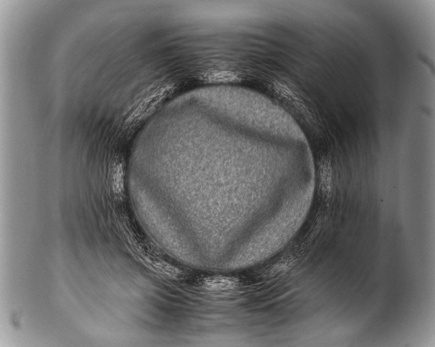 X0000100400549200806201738
