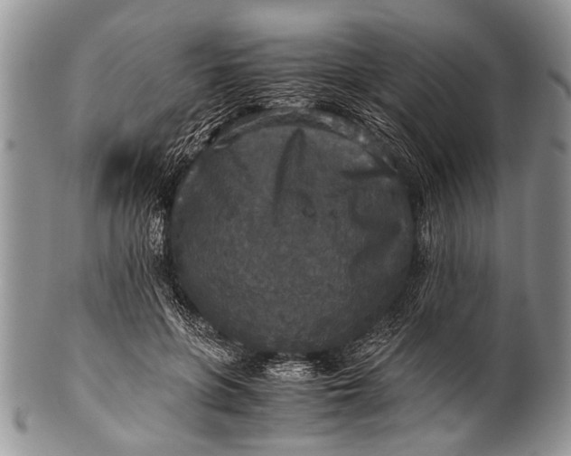 X0000100400551200806201738