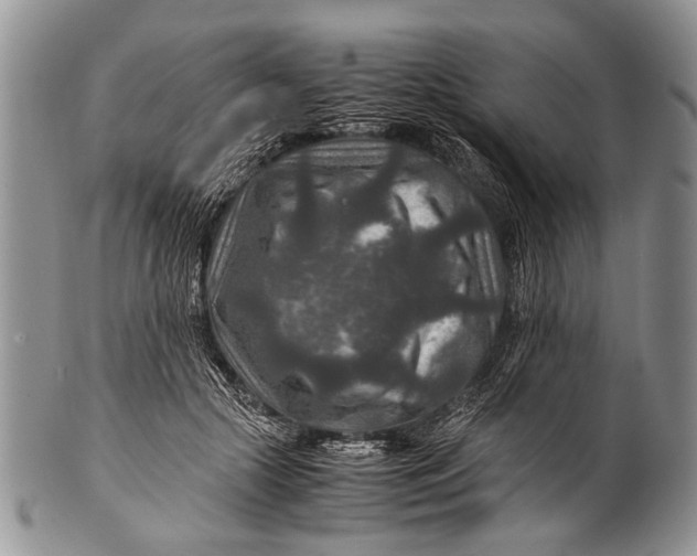 X0000100400553200806201738