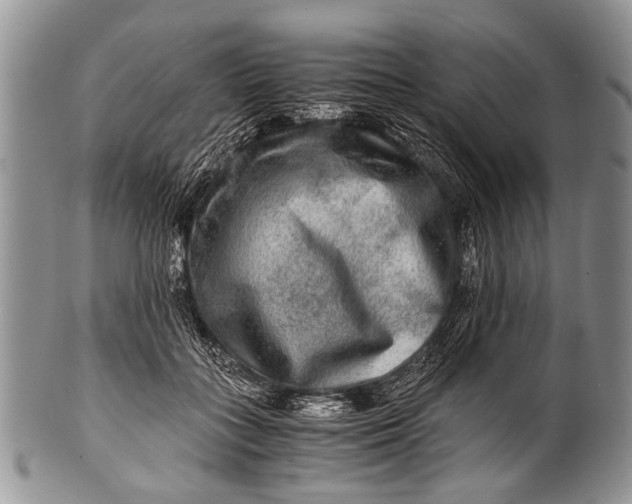 X0000100400555200806201738