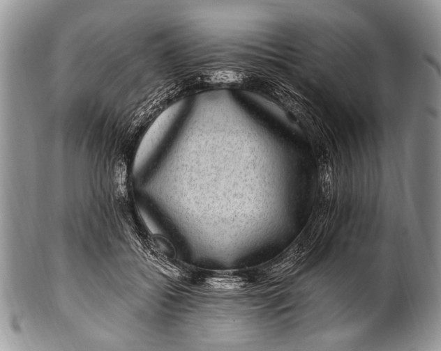 X0000100400556200806201738