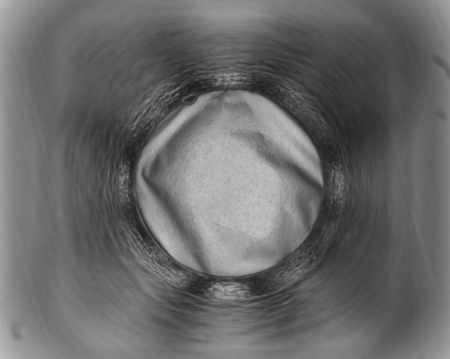 X0000100400557200806201738