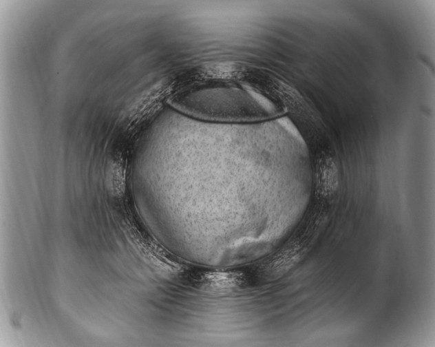 X0000100400558200806201739