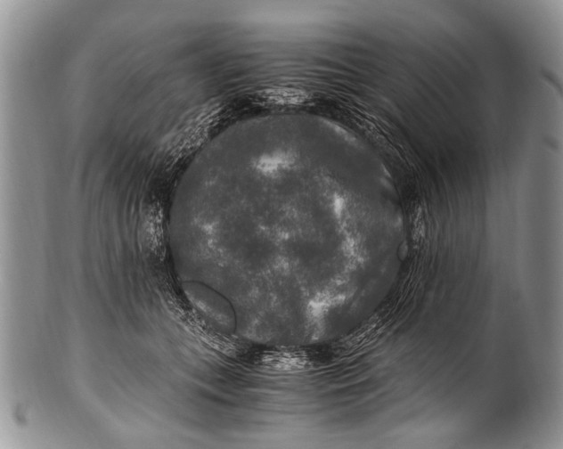X0000100400559200806201739