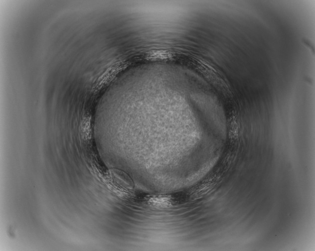 X0000100400560200806201739