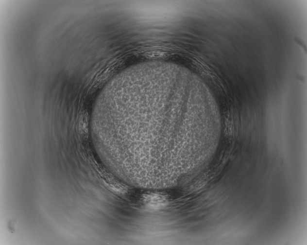 X0000100400561200806201739