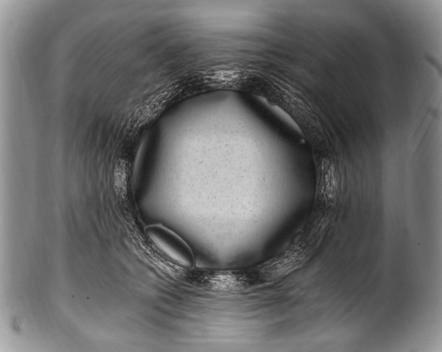 X0000100400562200806201739