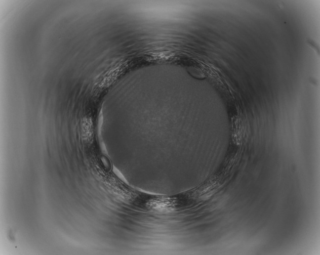 X0000100400563200806201739
