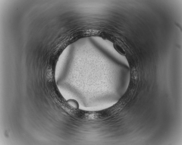 X0000100400564200806201739