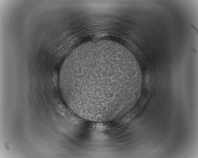 X0000100400565200806201739
