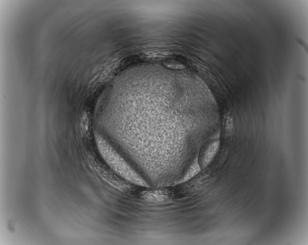X0000100400567200806201739