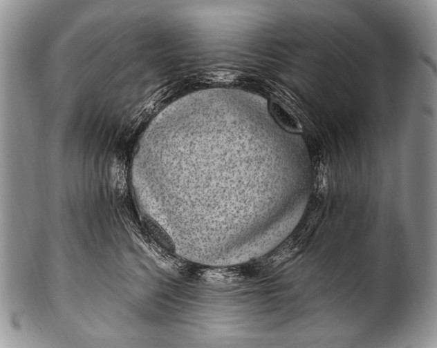 X0000100400568200806201739