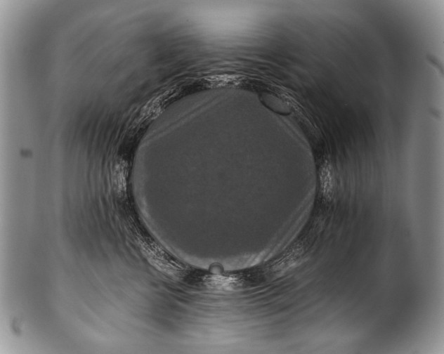 X0000100400570200806201739