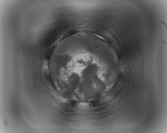 X0000100400573200806201739