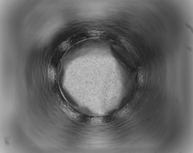 X0000100400574200806201739