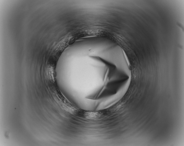 X0000100400575200806201739