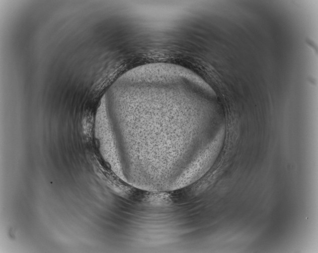X0000100400576200806201739