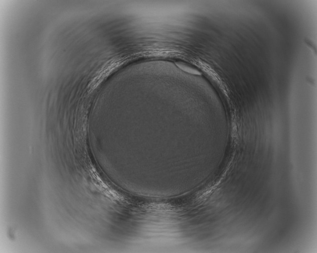 X0000100400577200806201738