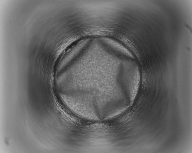 X0000100400578200806201738