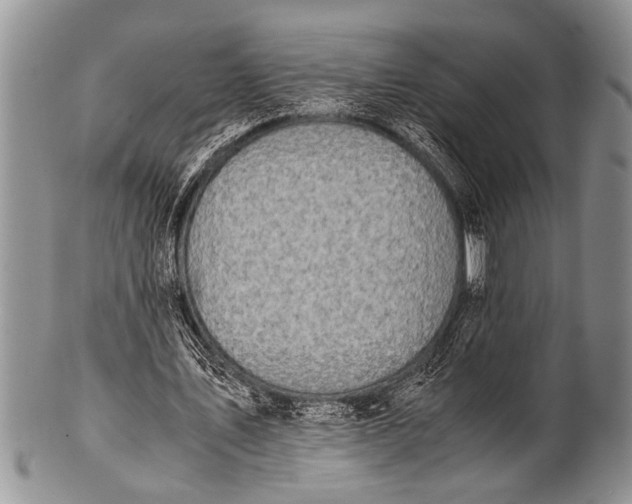 X0000100400579200806201738