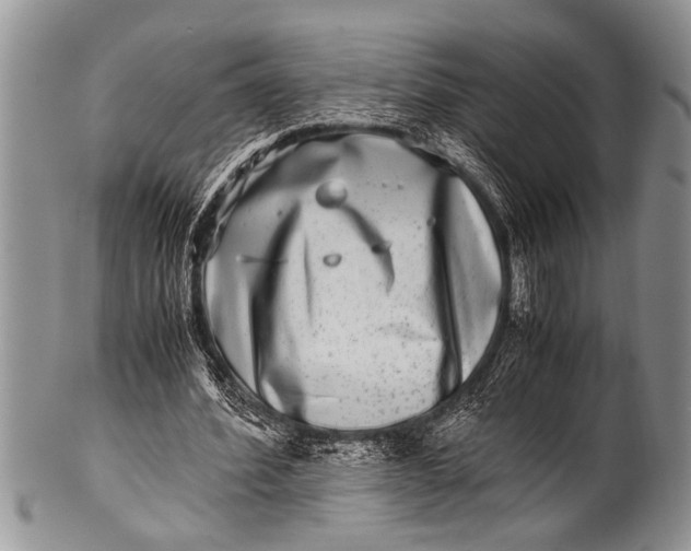 X0000100400580200806201738