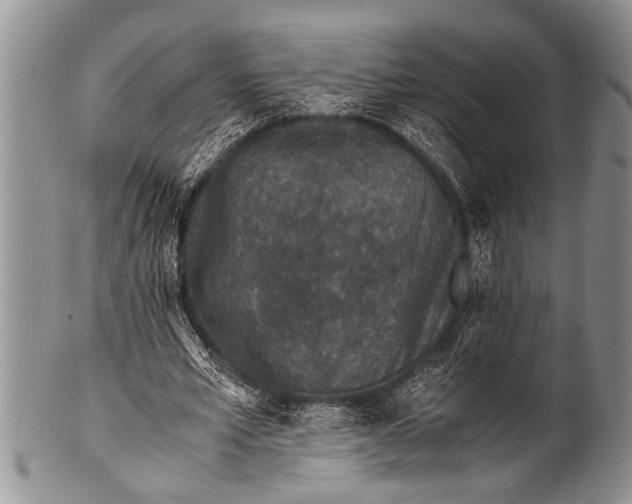 X0000100400581200806201738