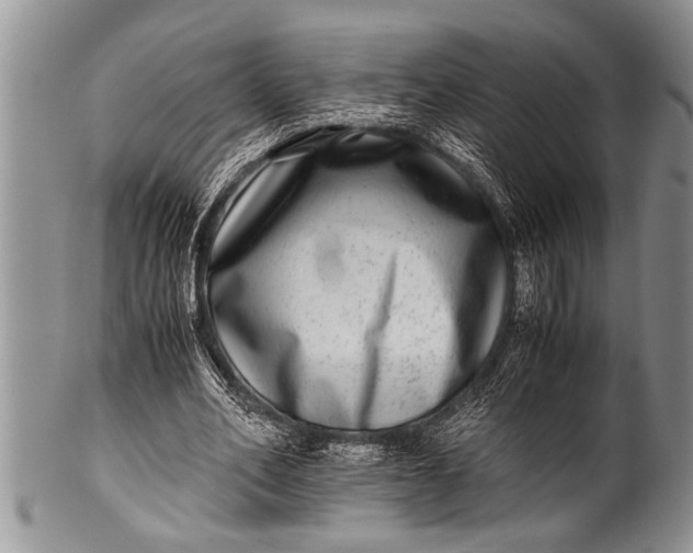 X0000100400582200806201738