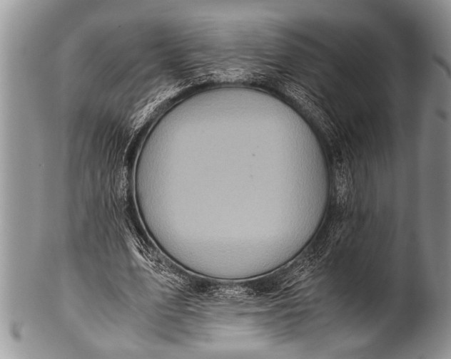 X0000100400583200806201738