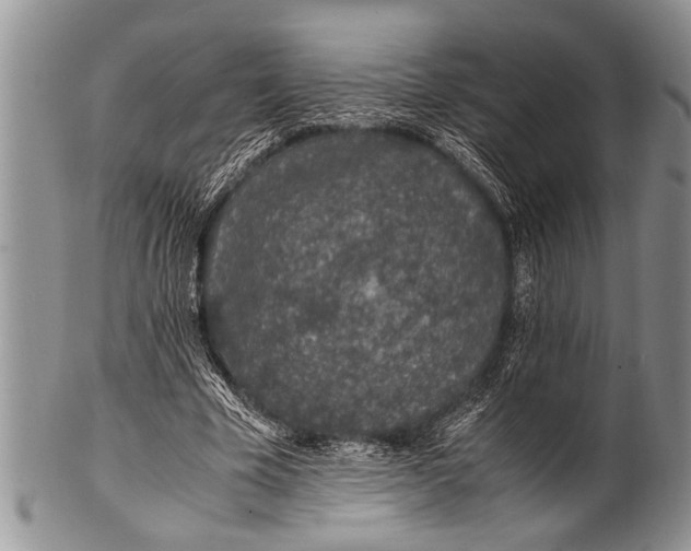 X0000100400585200806201738