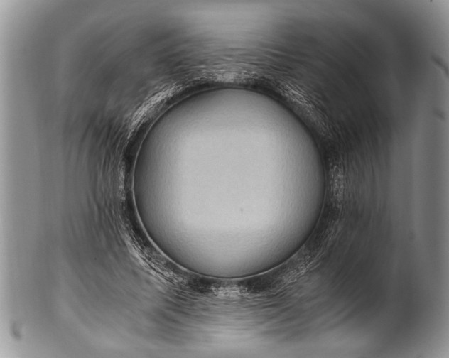 X0000100400587200806201738