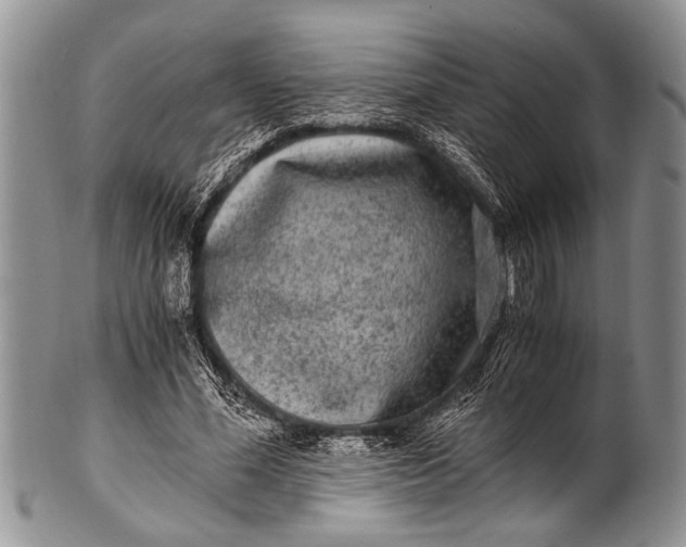 X0000100400588200806201738