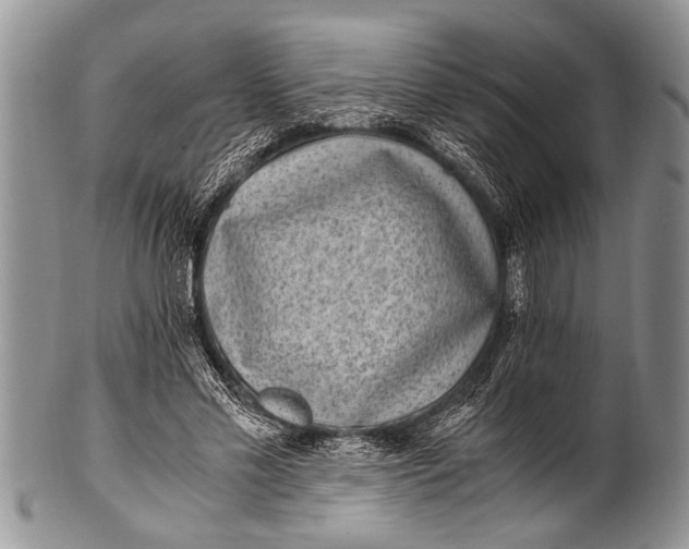 X0000100400589200806201738