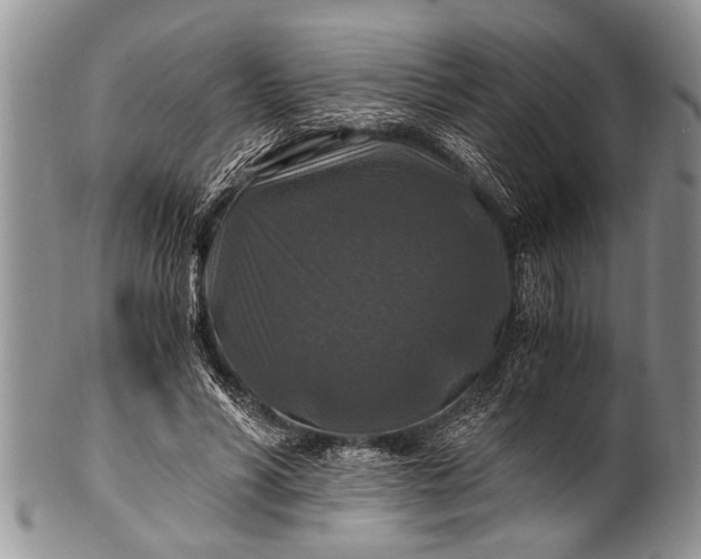 X0000100400590200806201738
