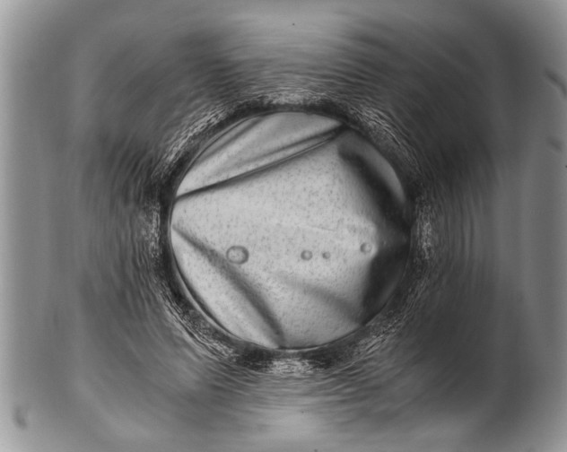 X0000100400591200806201738