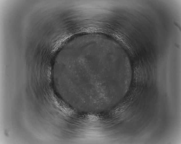 X0000100400592200806201738
